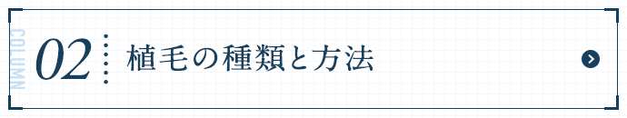 植毛の種類と方法