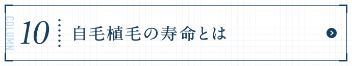 自毛植毛の寿命とは