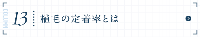植毛の定着率とは
