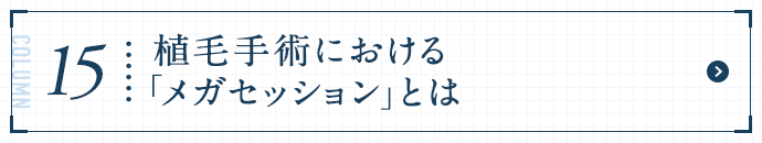 植毛手術における「メガセッション」とは